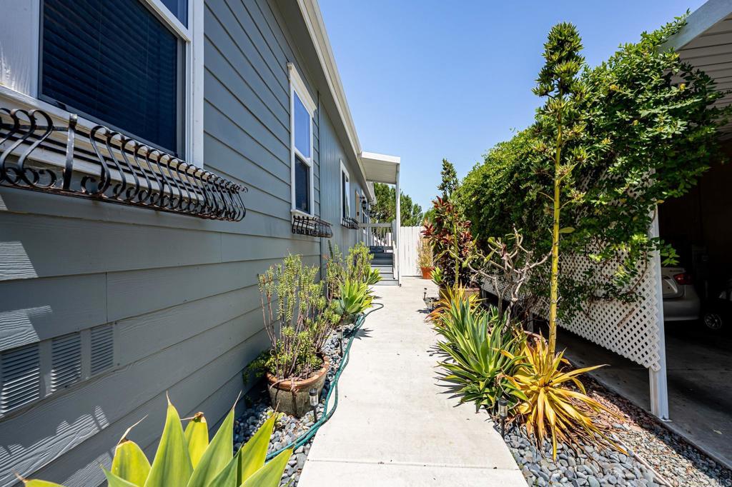 4650 Dulin Road, Unit 192 Fallbrook, CA 92003 - Photo 31 of 42 a view of a potted plants with sky view