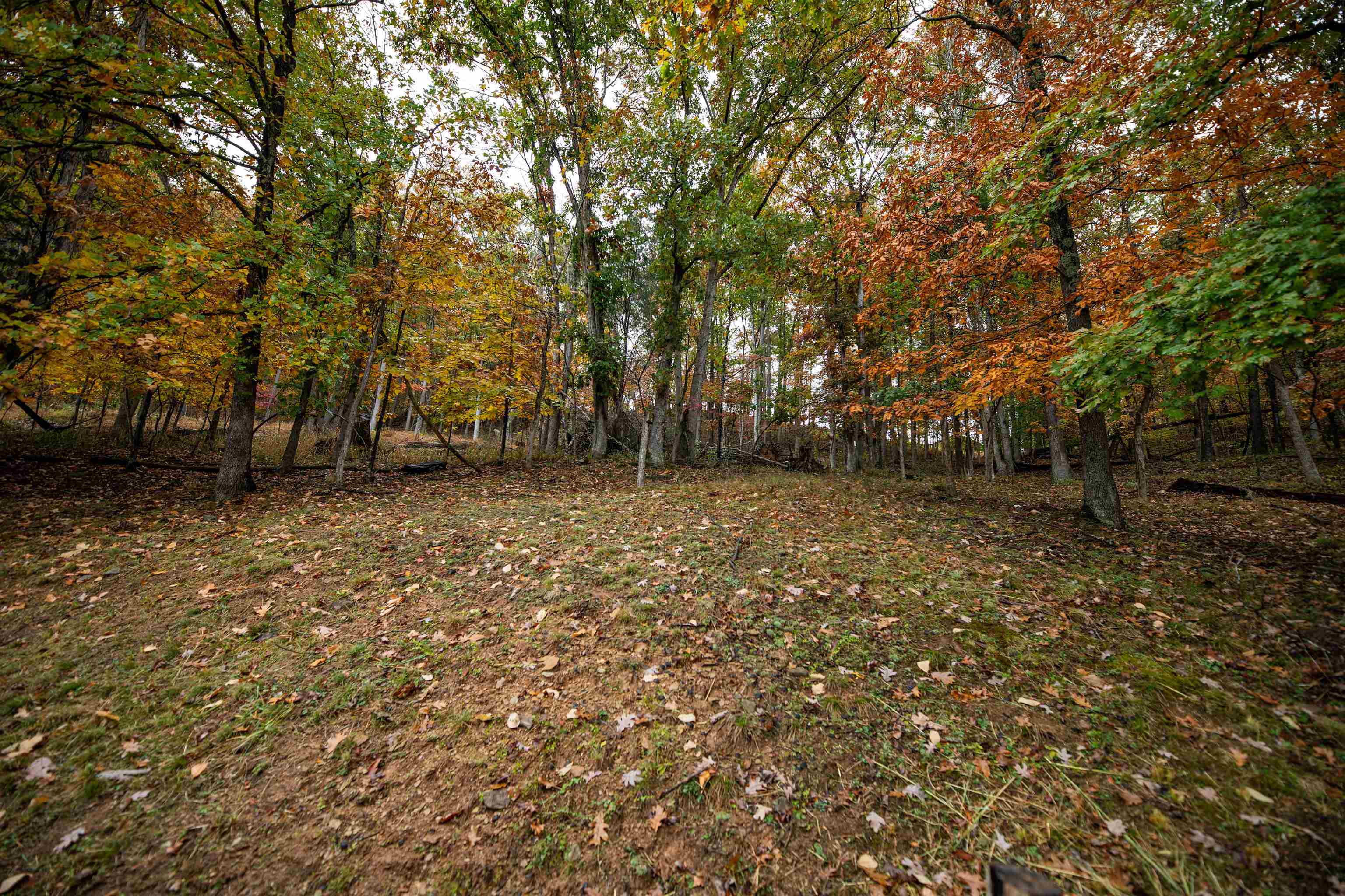 3032 Wilson Road Barboursville, WV 25504 - Photo 5 of 14 Gallery Image 5