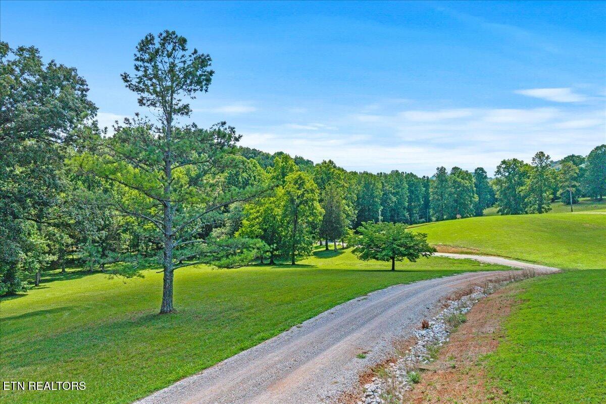 Brunner Road Madisonville, TN 37354 - Photo 8 of 15 07-00 Brunner Rd-7