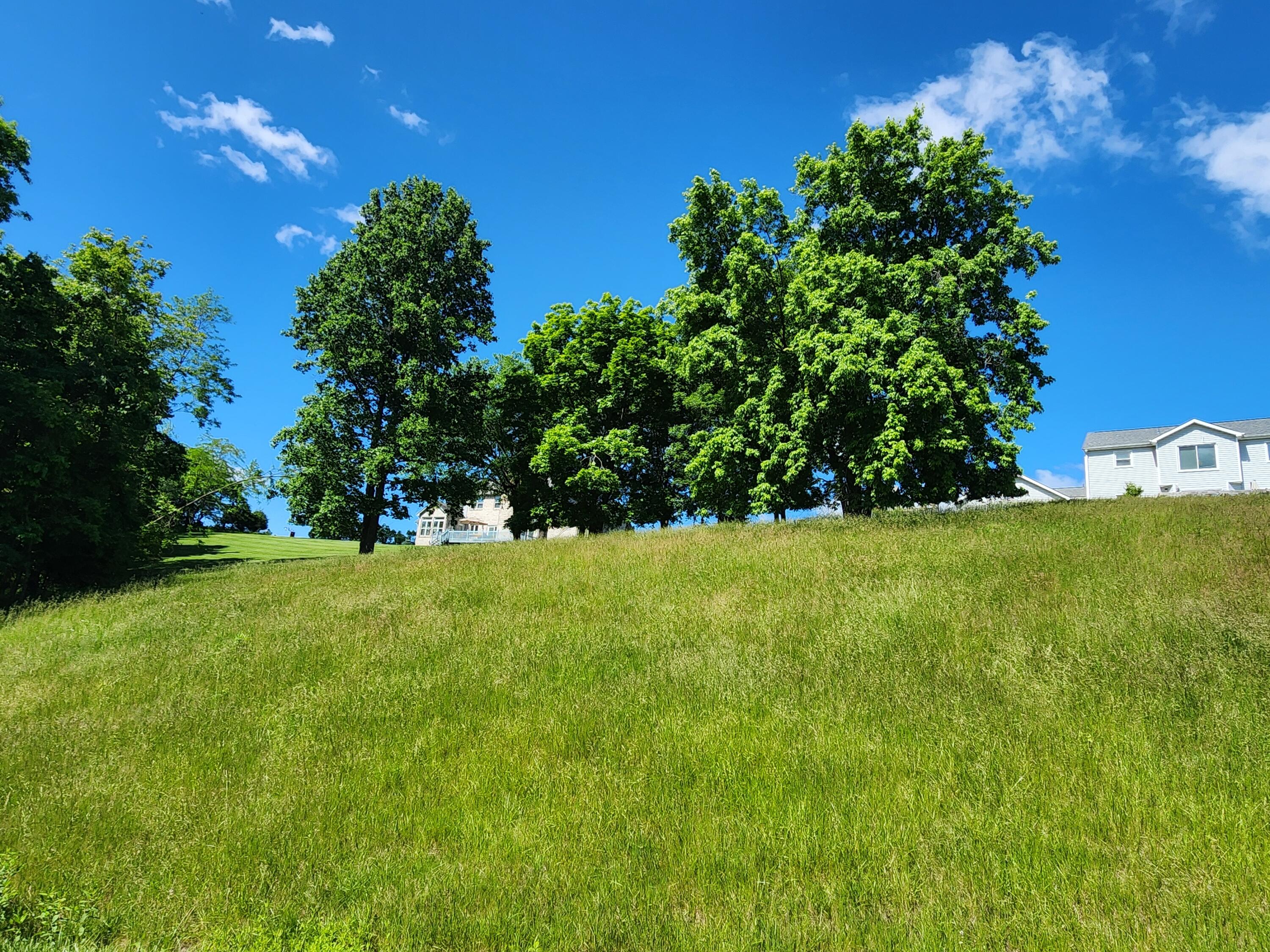 205 Mallard Point Court Georgetown, KY 40324 - Photo 5 of 12 20250523_111751