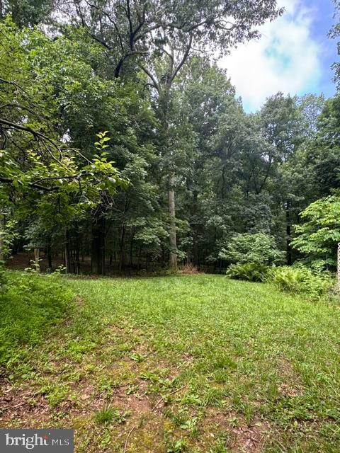 9810 Woodsboro Road Frederick, MD 21701 - Photo 3 of 12