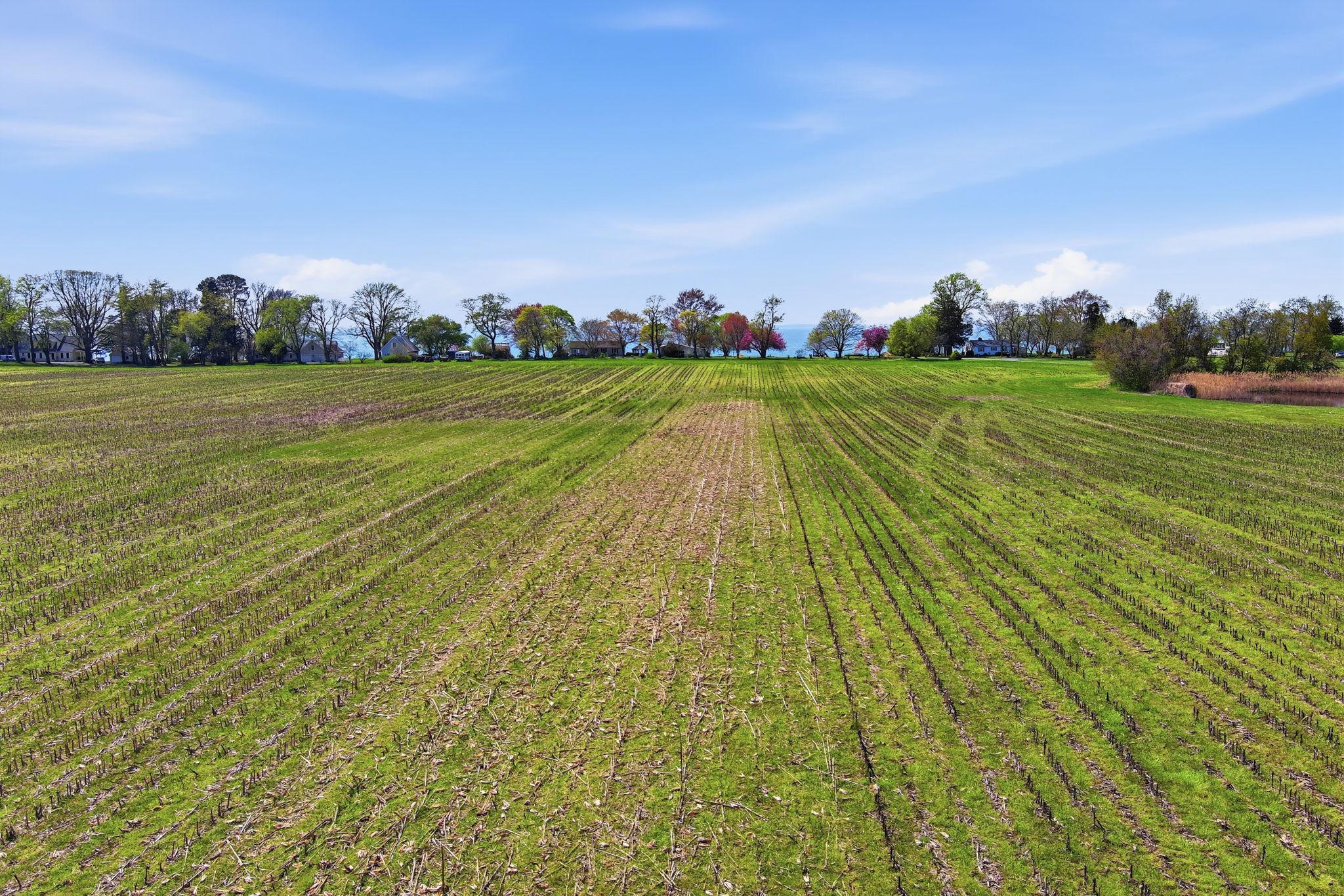 4020 Eastern Neck Road Rock Hall, MD 21661 - Photo 20 of 26 About 25 acres of tilled fields
