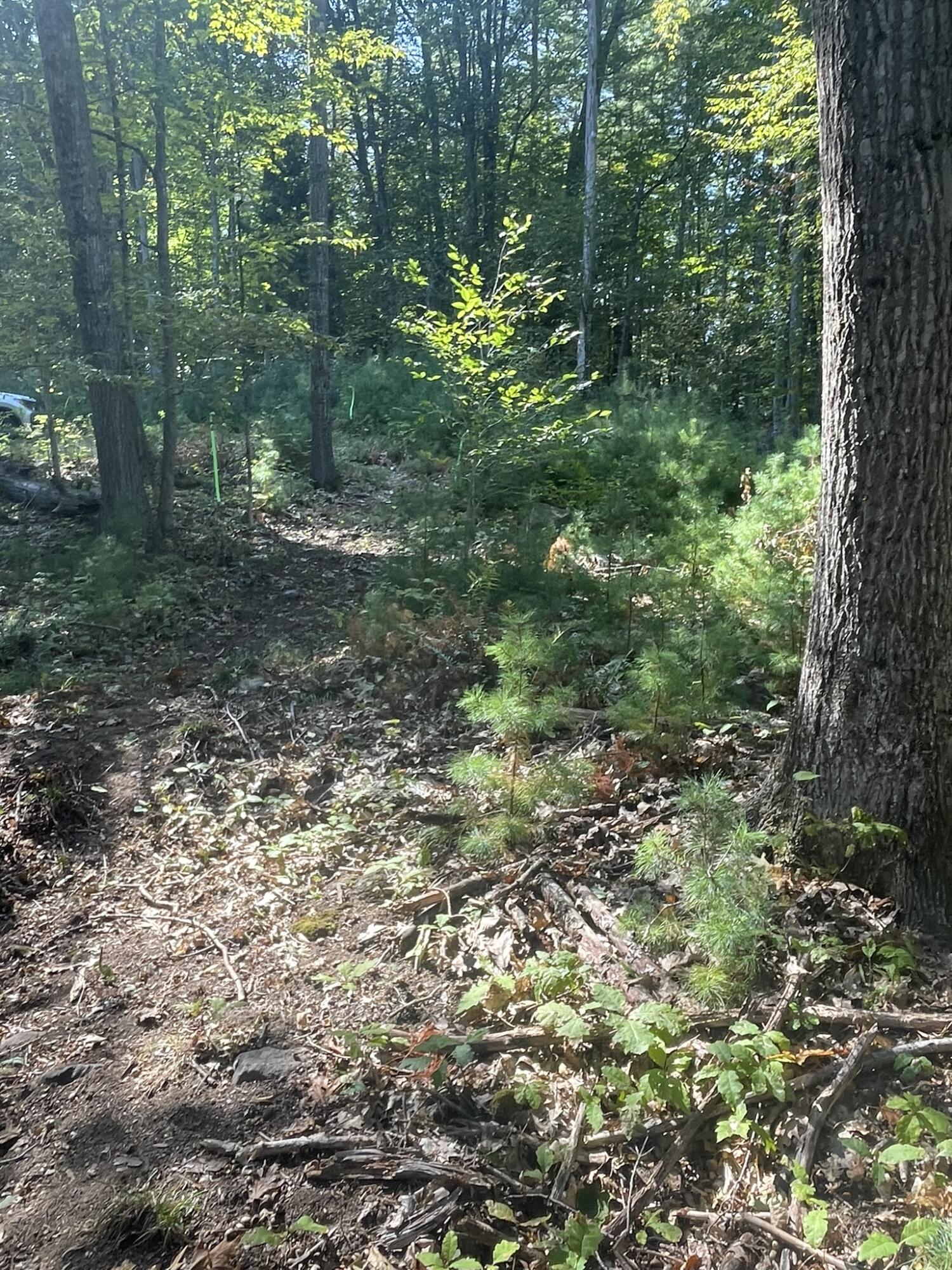 0 Route9-126 Road Litchfield, ME 04350 - Photo 63 of 105