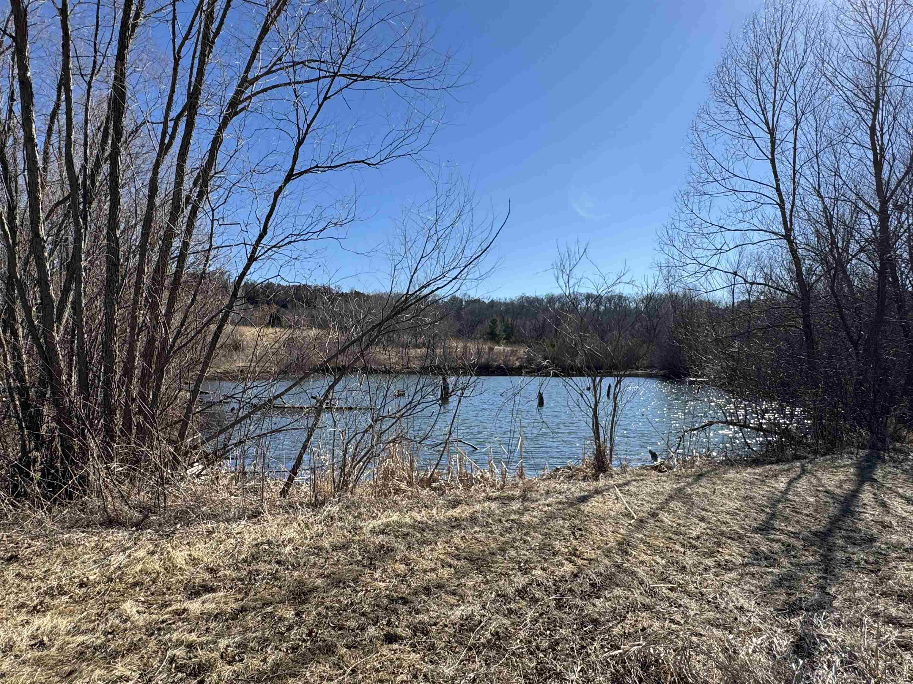 4989 North Ford Road Scales Mound, IL 61075 - Photo 48 of 93