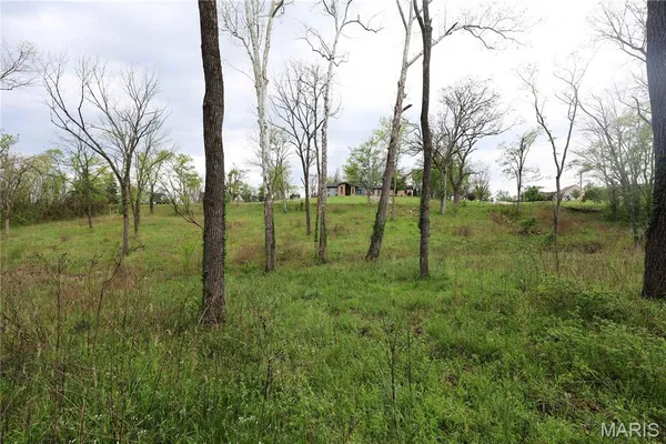 $29,900 | Lot 12-13 Dorothy Drive, Perryville, MO 63775