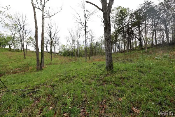 $29,900 | Lot 12-13 Dorothy Drive, Perryville, MO 63775