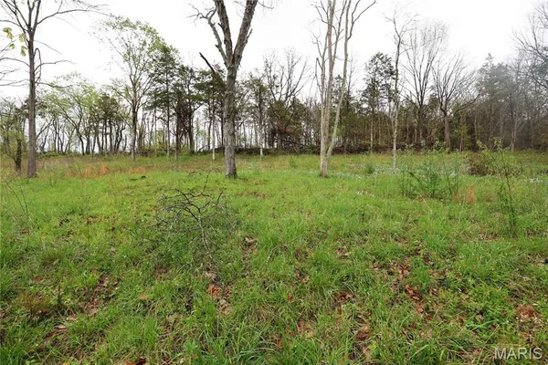 $29,900 | Lot 12-13 Dorothy Drive, Perryville, MO 63775