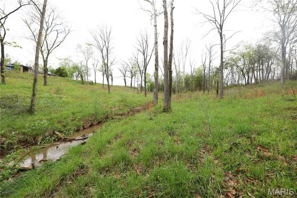 $29,900 | Lot 12-13 Dorothy Drive, Perryville, MO 63775