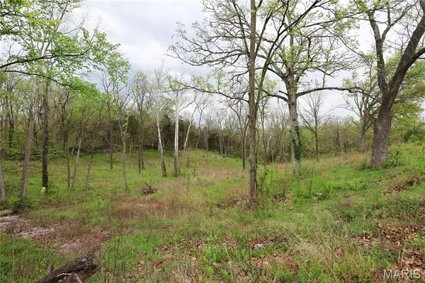 $29,900 | Lot 12-13 Dorothy Drive, Perryville, MO 63775
