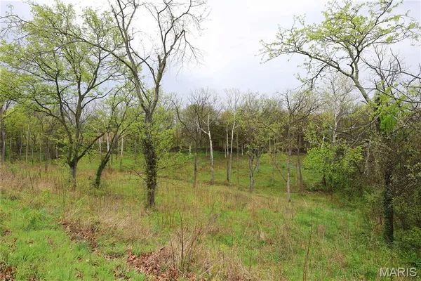 $29,900 | Lot 12-13 Dorothy Drive, Perryville, MO 63775