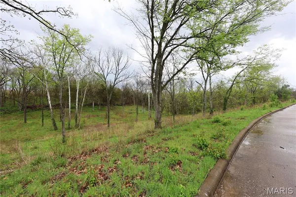 $29,900 | Lot 12-13 Dorothy Drive, Perryville, MO 63775