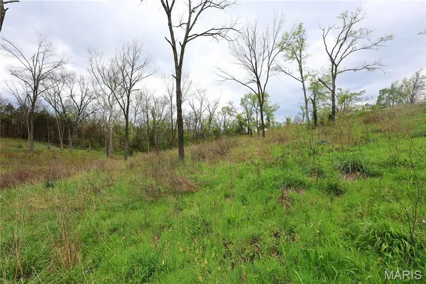 $29,900 | Lot 12-13 Dorothy Drive, Perryville, MO 63775