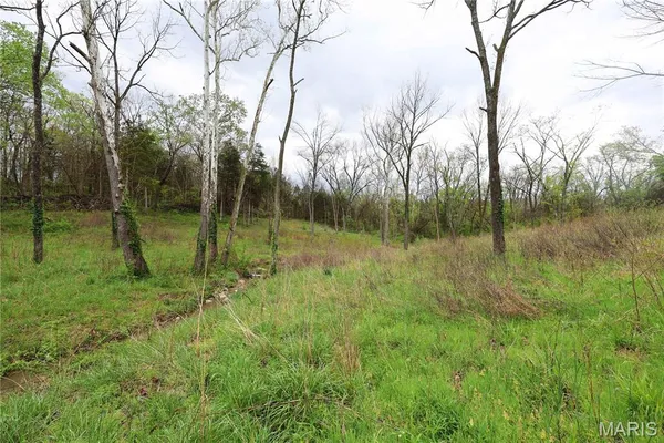 $29,900 | Lot 12-13 Dorothy Drive, Perryville, MO 63775
