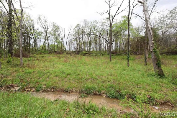 $29,900 | Lot 12-13 Dorothy Drive, Perryville, MO 63775