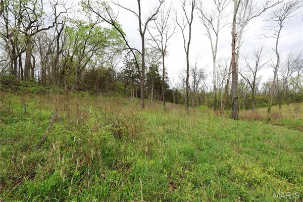 $29,900 | Lot 12-13 Dorothy Drive, Perryville, MO 63775