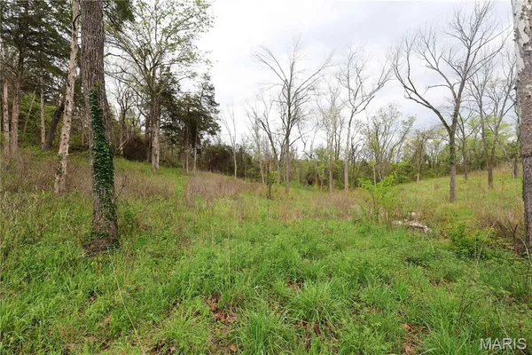 $29,900 | Lot 12-13 Dorothy Drive, Perryville, MO 63775