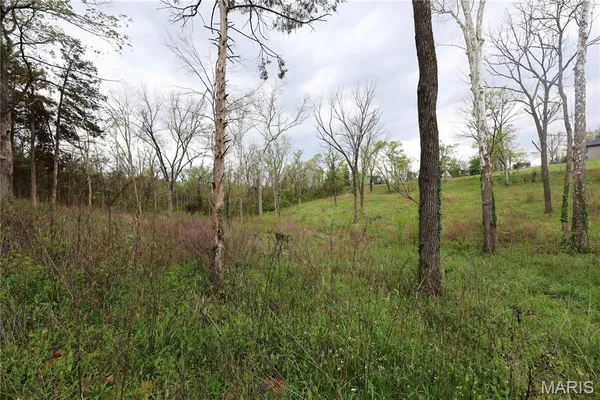 $29,900 | Lot 12-13 Dorothy Drive, Perryville, MO 63775