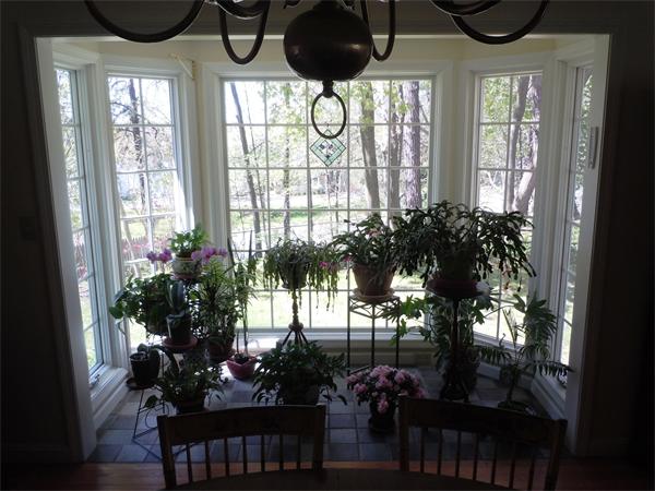 9 Ridgeway Circle Springfield, MA 01118 - Photo 9 of 13 a vase of flowers sitting on a table in front of a window