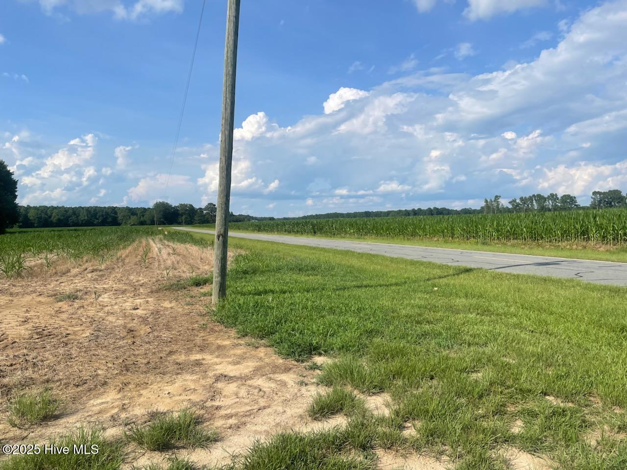 0 Hill Road Smithfield, NC 27577 - Photo 14 of 15 IMG954426