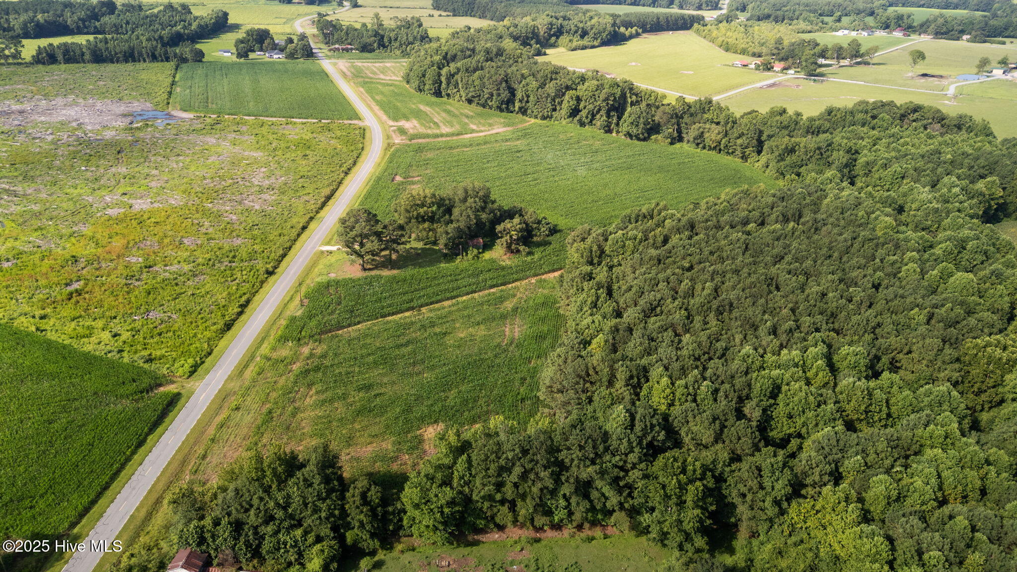 0 Hill Road Smithfield, NC 27577 - Photo 4 of 15 12-web-or-mls-DJI_20250721092622_0477_D