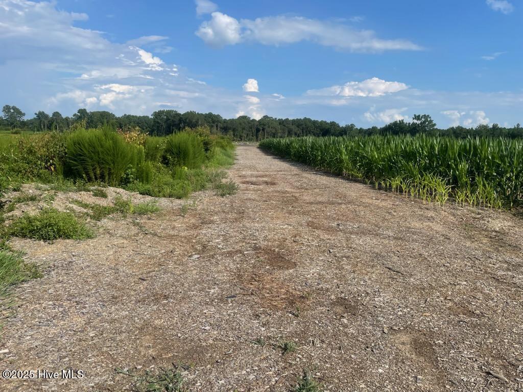 0 Hill Road Smithfield, NC 27577 - Photo 7 of 15 IMG954431 (1)