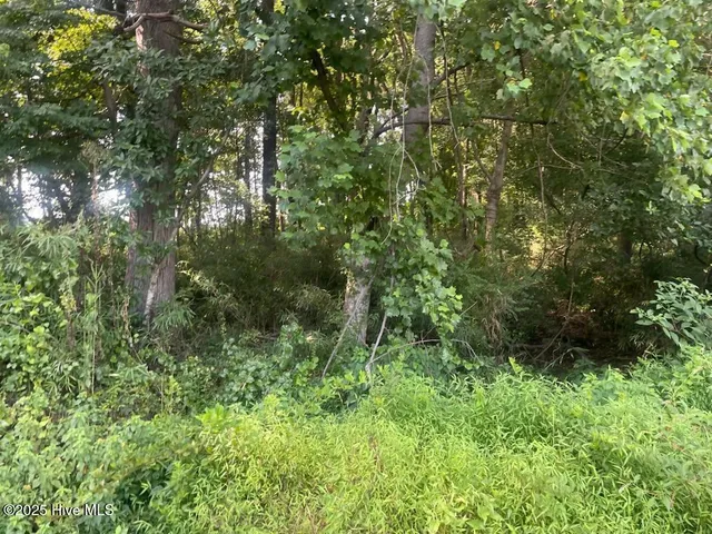 $6,900,000 | 0 Hill Road, Smithfield, NC 27577