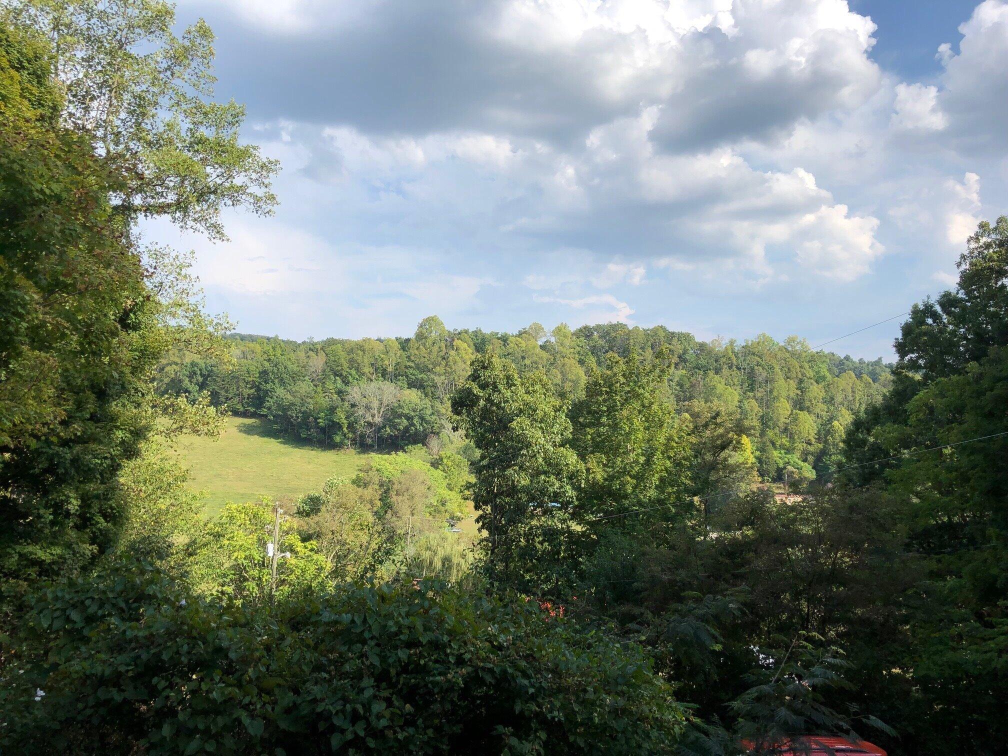 227 Ridge Road Fall Branch, TN 37656 - Photo 2 of 24 IMG_5546