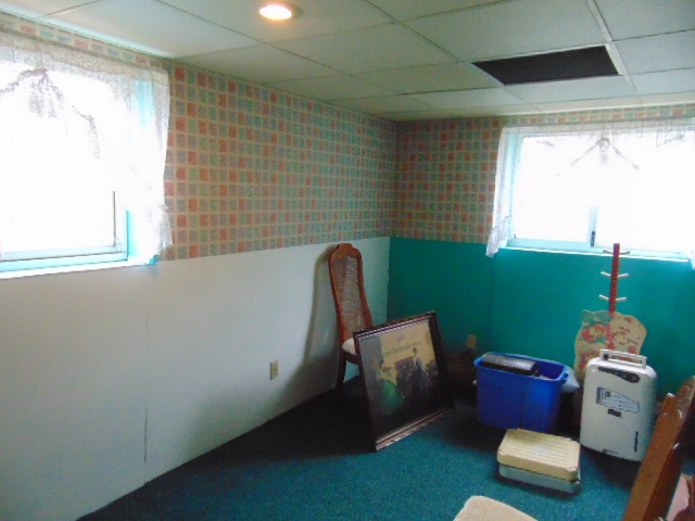 335 South Ithaca Street Ithaca, MI 48847 - Photo 21 of 28 1873017-20.JPG