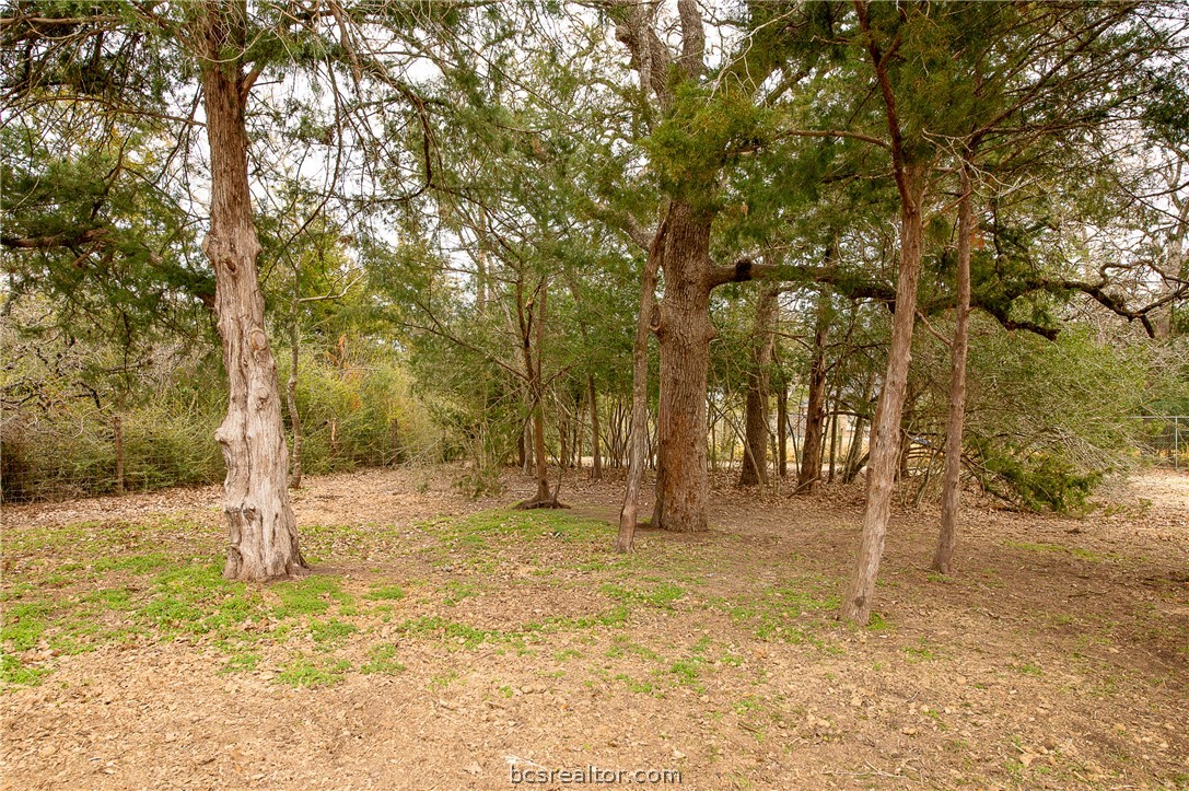 2302 Quail Run College Station, TX 77845 - Photo 38 of 49 a view of a yard with trees
