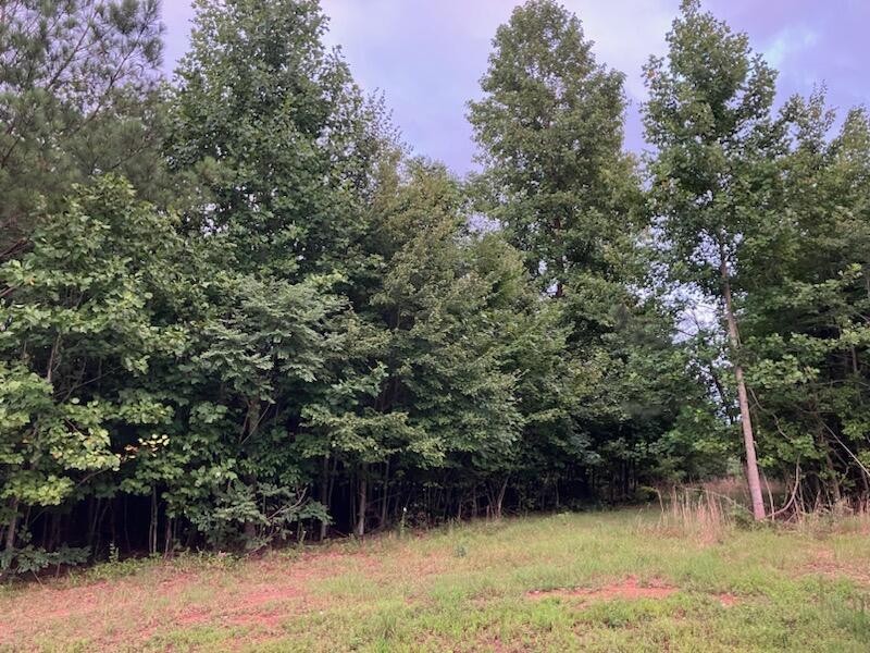 174 Volunteer Street Jasper, TN 37347 - Photo 6 of 43