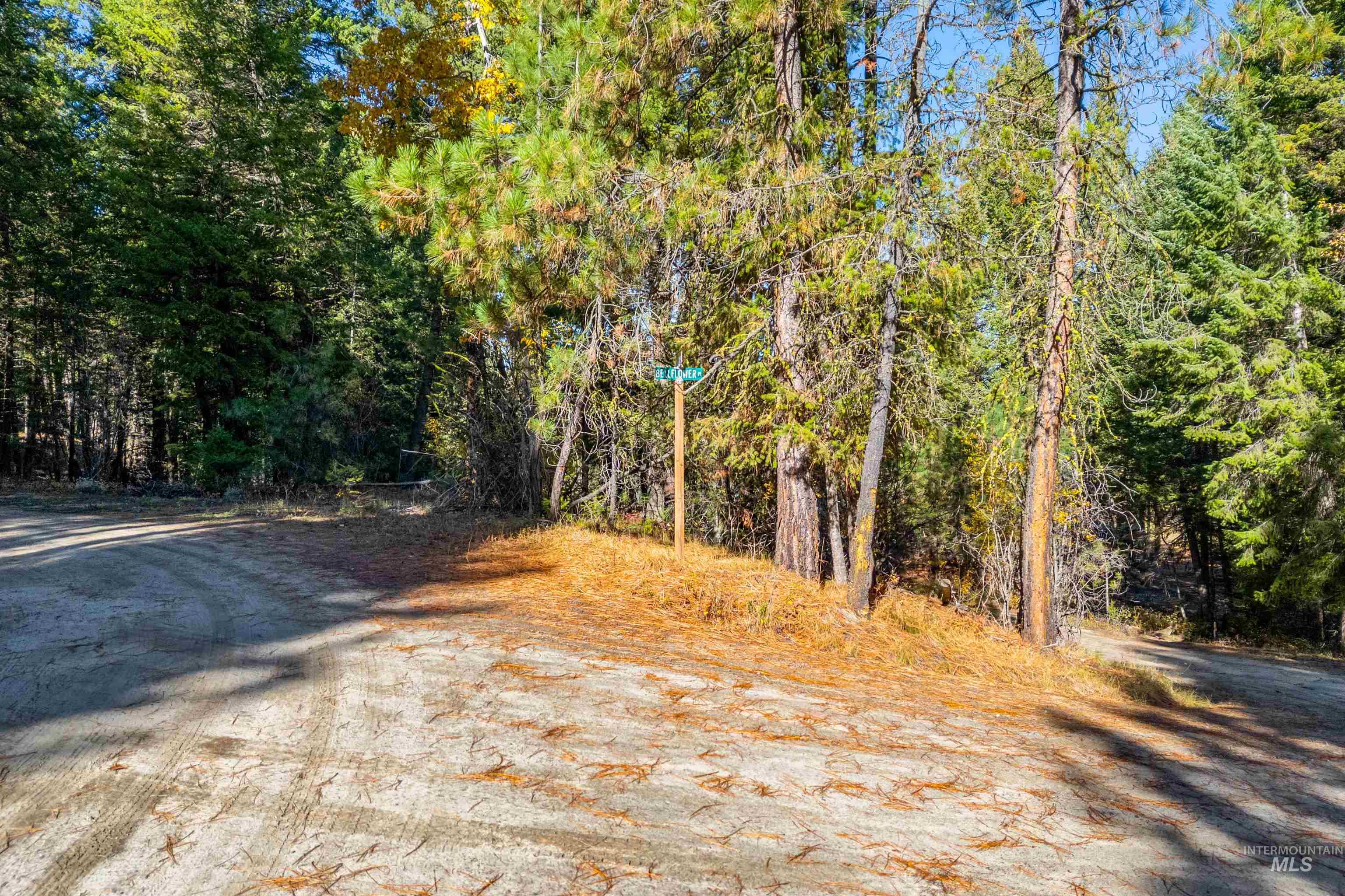 5 Bell Flower Cascade, ID 83611 - Photo 3 of 13 View of dirt / gravel road with a wooded view