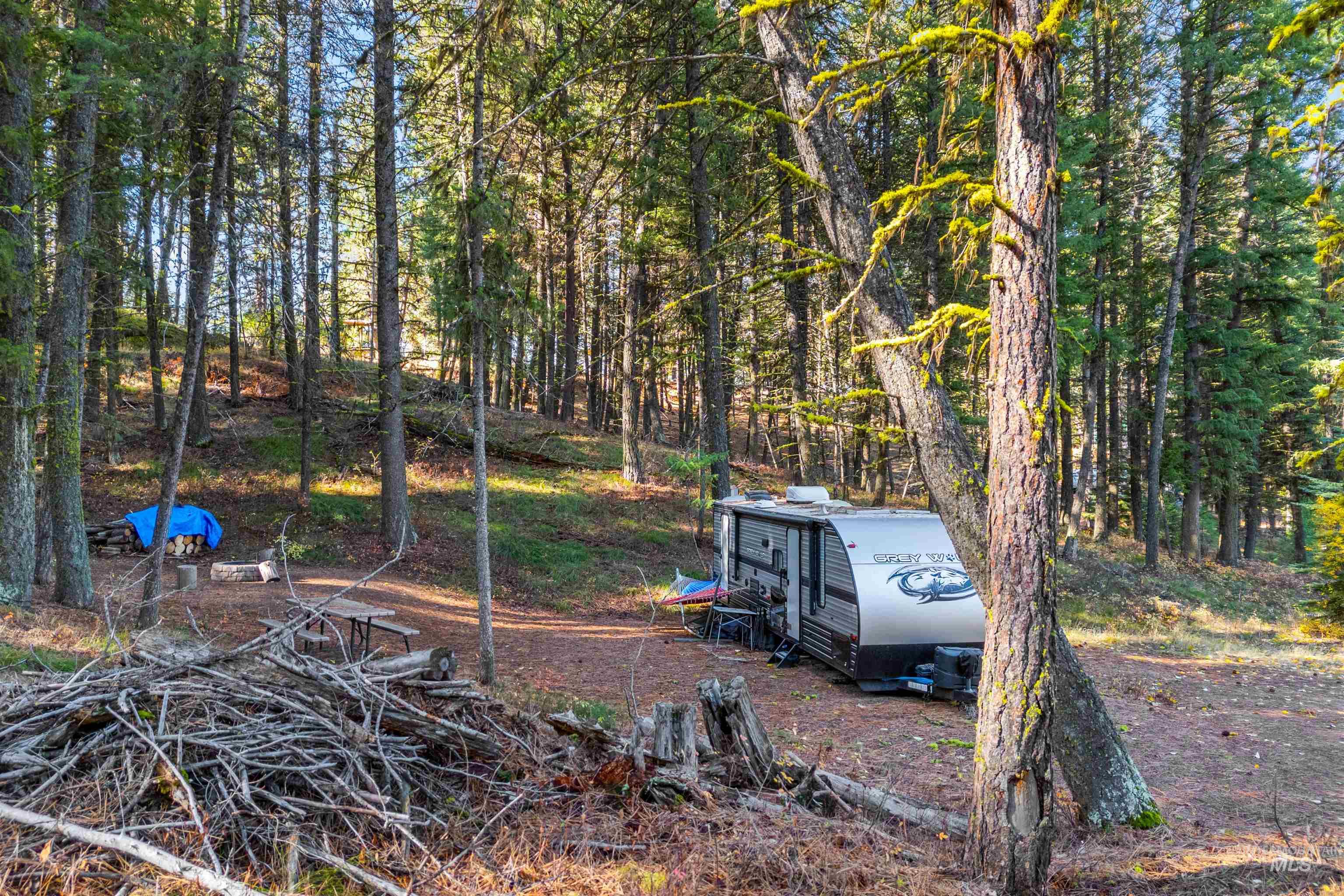 5 Bell Flower Cascade, ID 83611 - Photo 5 of 13 View of yard