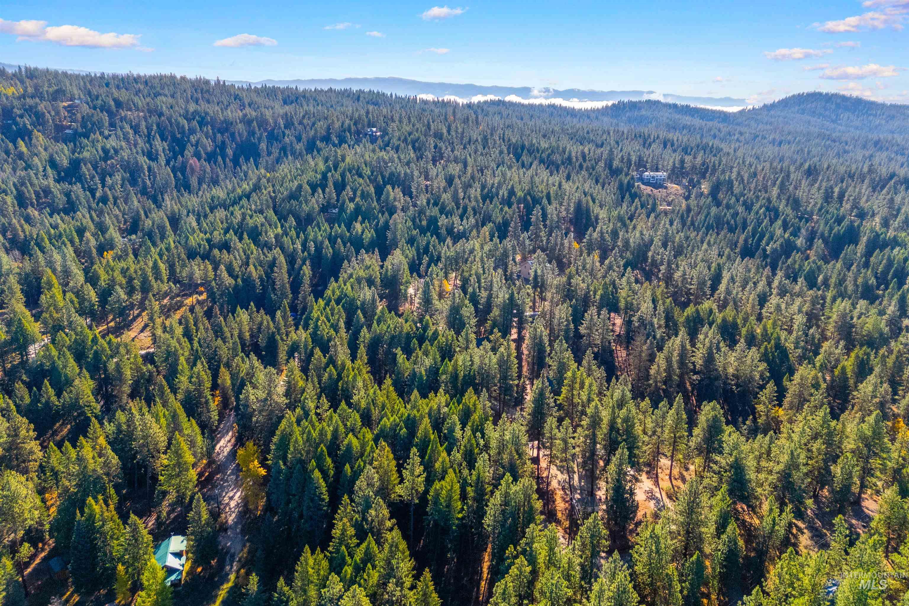 5 Bell Flower Cascade, ID 83611 - Photo 9 of 13 Drone / aerial view of a mountain backdrop