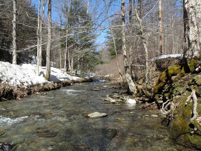 0 Ward Brook Road Montpelier, VT 05602 - Photo 10 of 13 Gallery Image 10