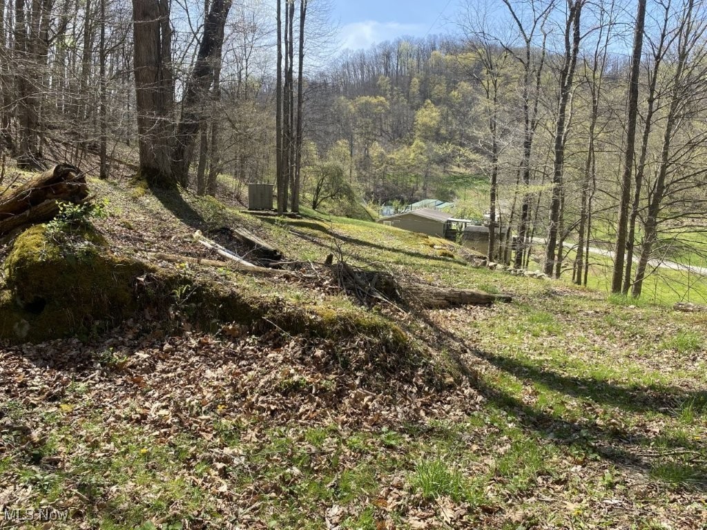 1238 Clio Road Clendenin, WV 25045 - Photo 14 of 21