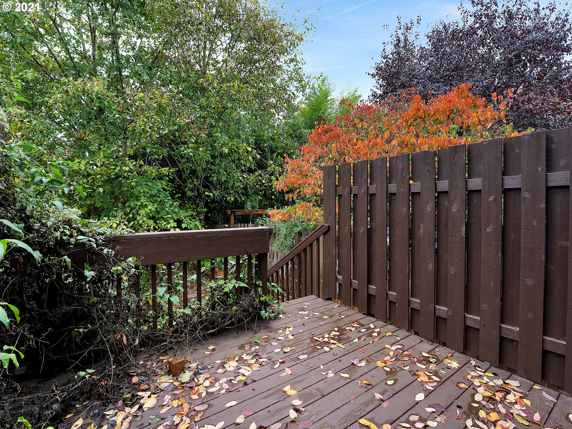 431 Northeast Cook Street Portland, OR 97212 - Photo 25 of 29 Gallery Image 25