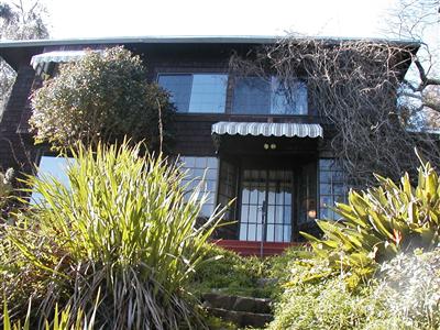 152 Miramar Avenue San Rafael, CA 94901 - Photo 1 of 1 a picture of a tree