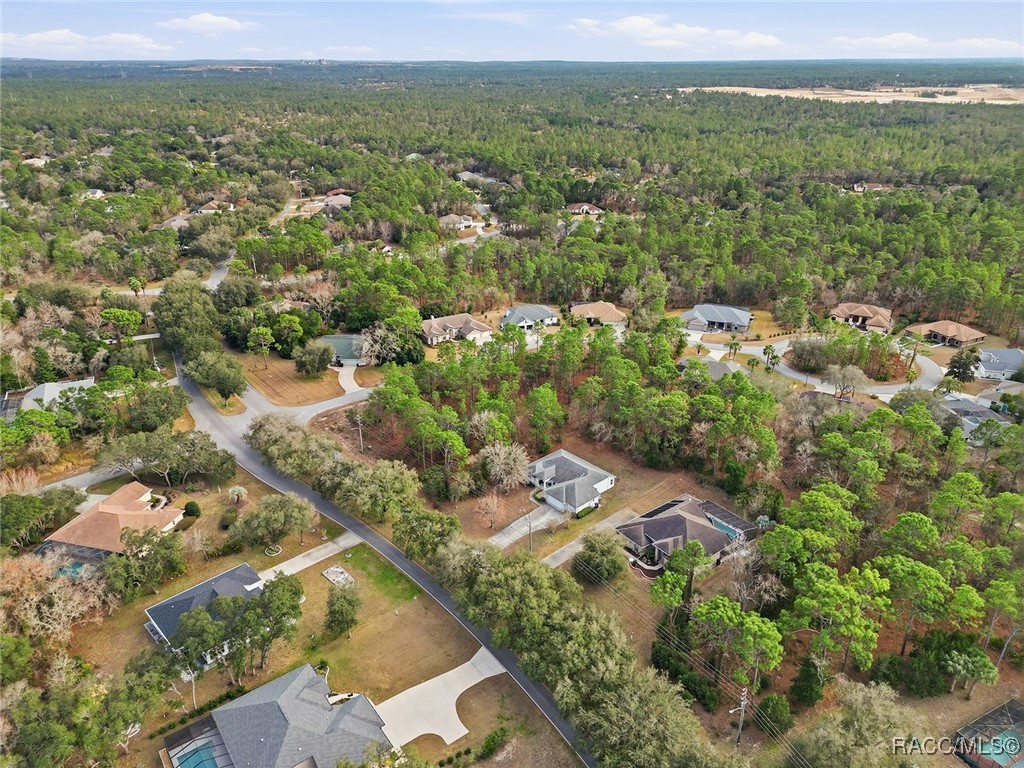 2 Nephthytis Court Homosassa, FL 34446 - Photo 11 of 21