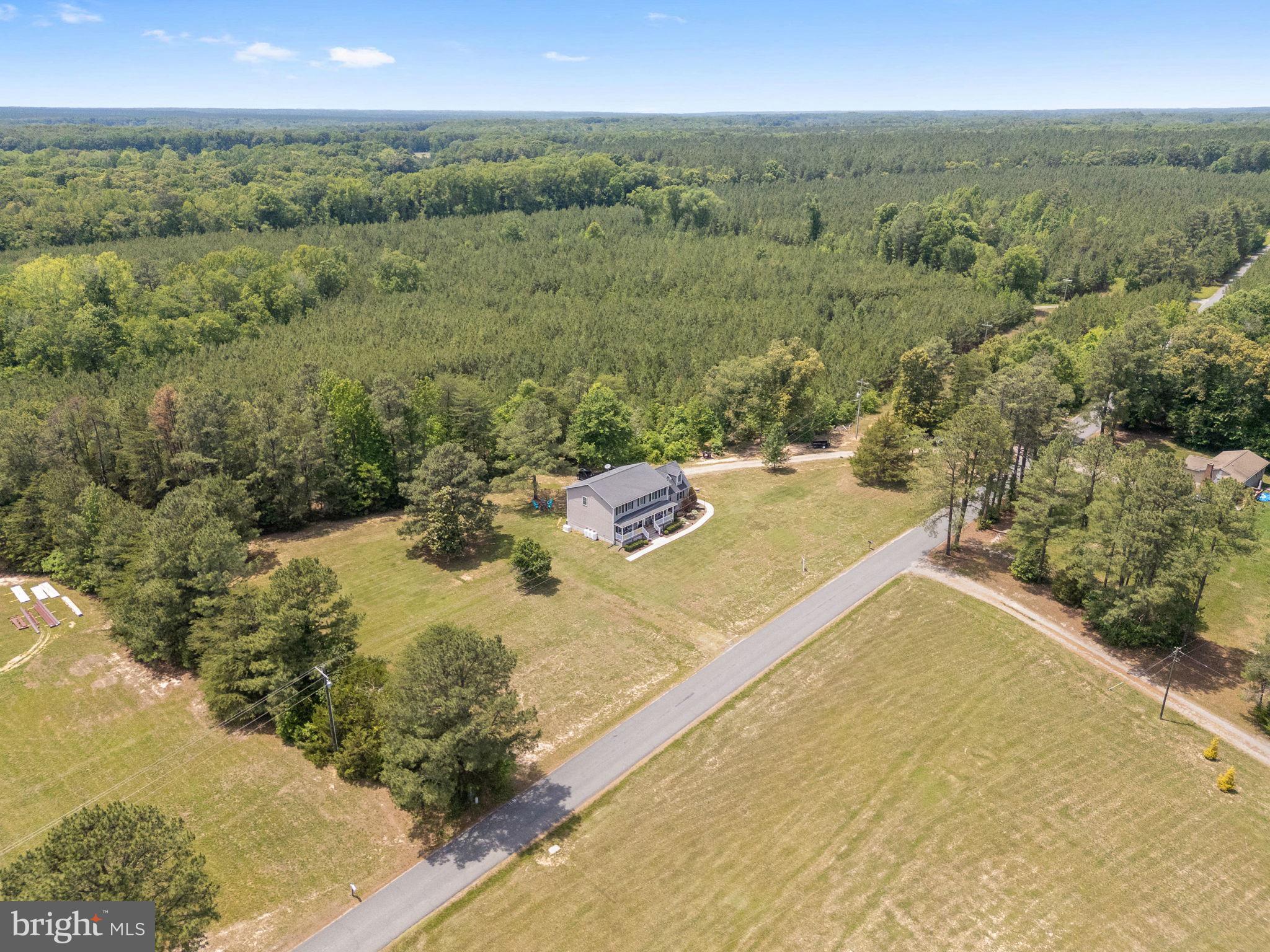 22088 Landora Bridge Road Ruther Glen, VA 22546 - Photo 102 of 122 Serene home amidst lush greenery.