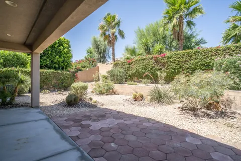 a view of a yard with a tree