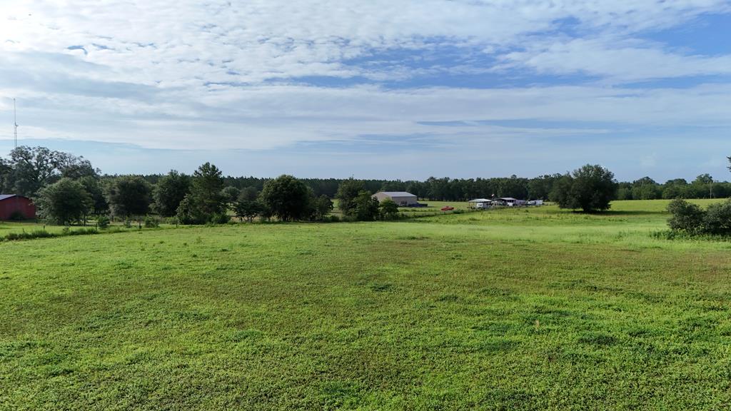 Vacant 145th Road Live Oak, FL 32060 - Photo 15 of 42
