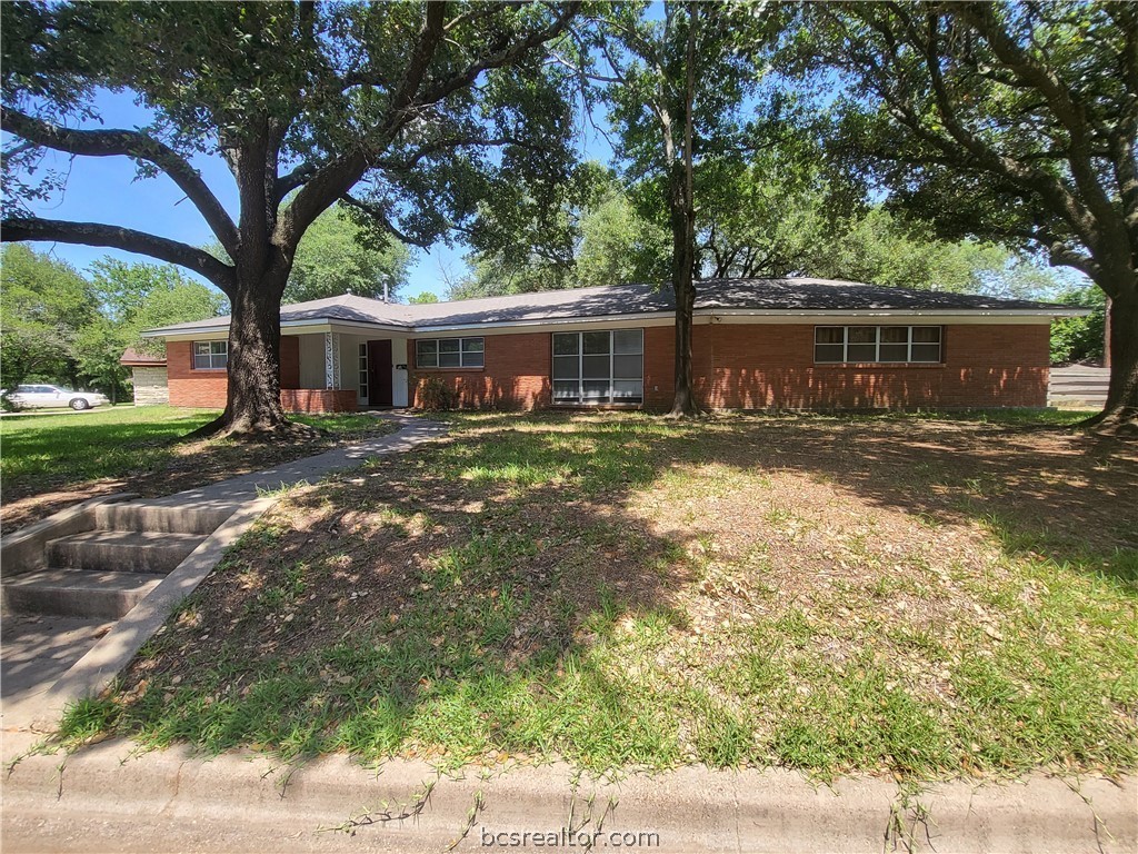a view of a yard with plants and large trees