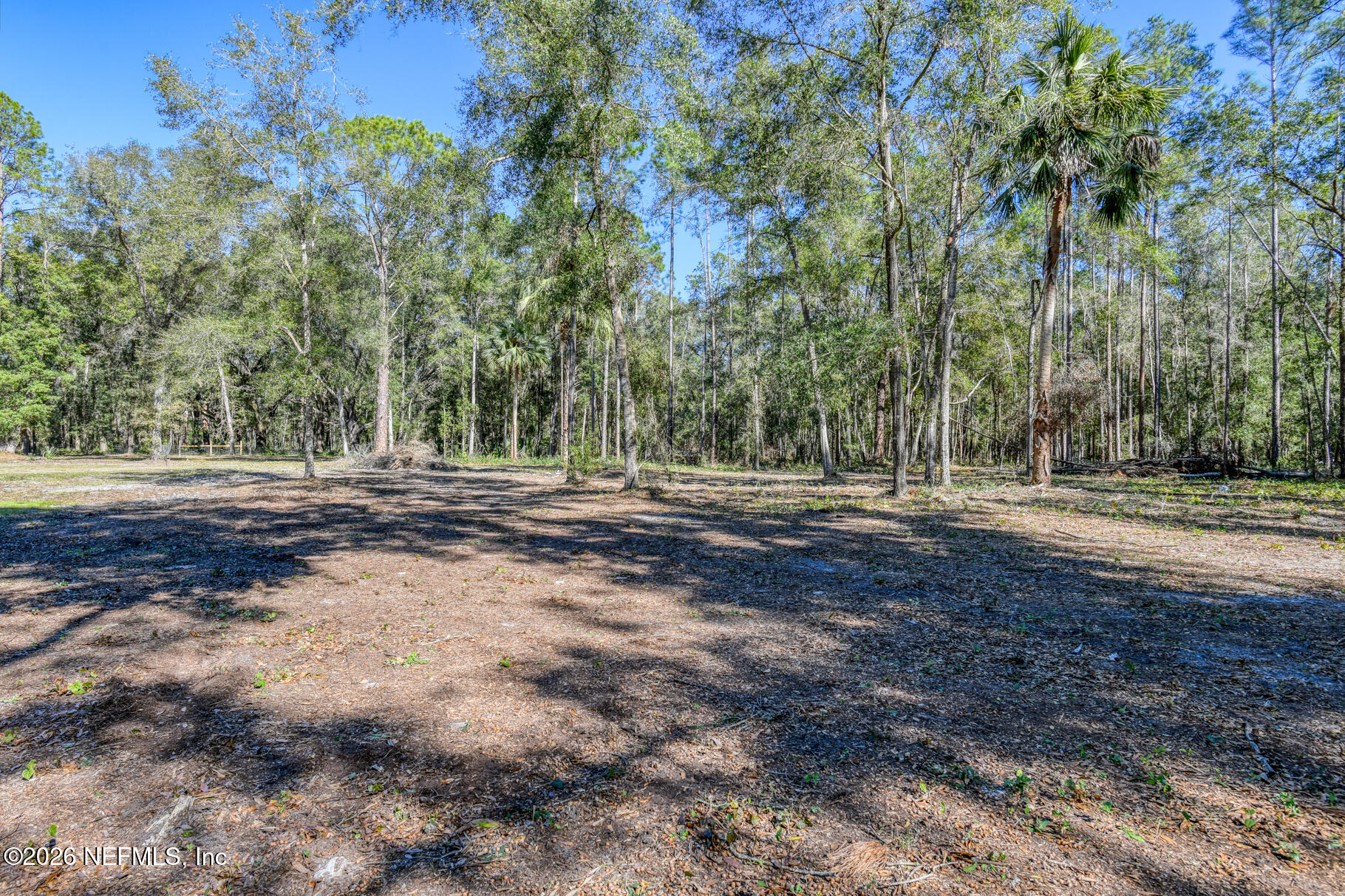 107 East Cardinal Street Palatka, FL 32177 - Photo 60 of 72 107 East Cardinal Street ONLINE LOW RES-