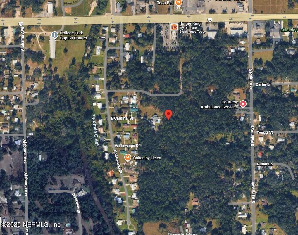 107 East Cardinal Street Palatka, FL 32177 - Photo 68 of 72 Aerial2