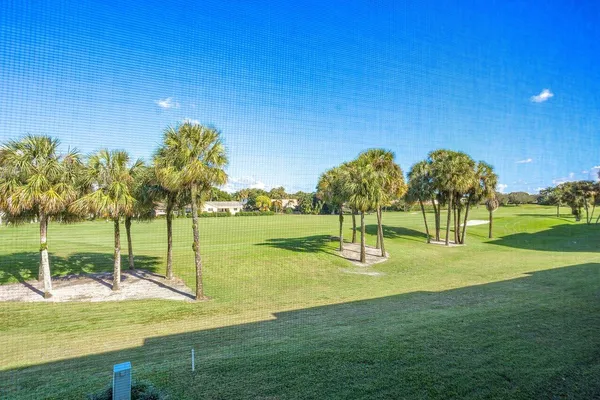 a view of a park with large trees