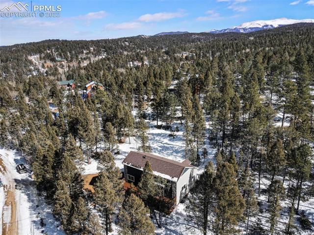 96 Wahsatch Road Florissant, CO 80816 - Photo 30 of 35 Gallery Image 30