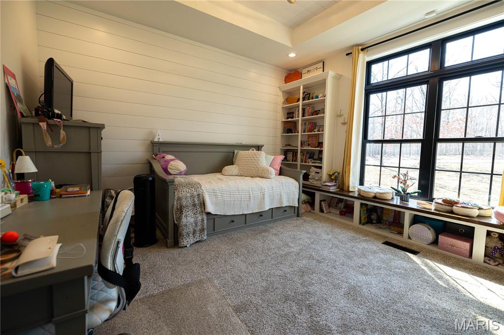 437 Ridgeview Lane Poplar Bluff, MO 63901 - Photo 34 of 56