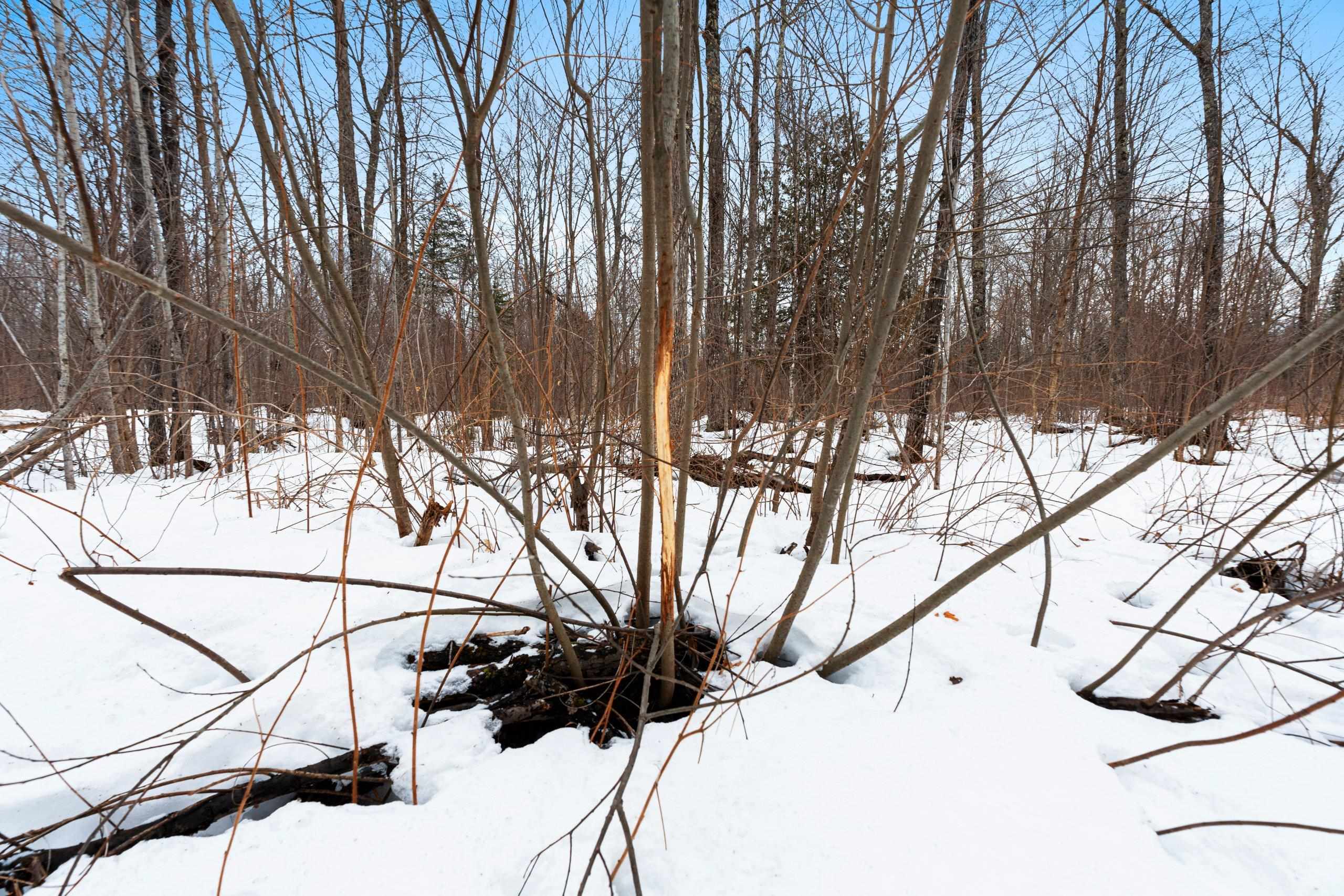 6506 Double Bend Road Argonne, WI 54511 - Photo 26 of 60