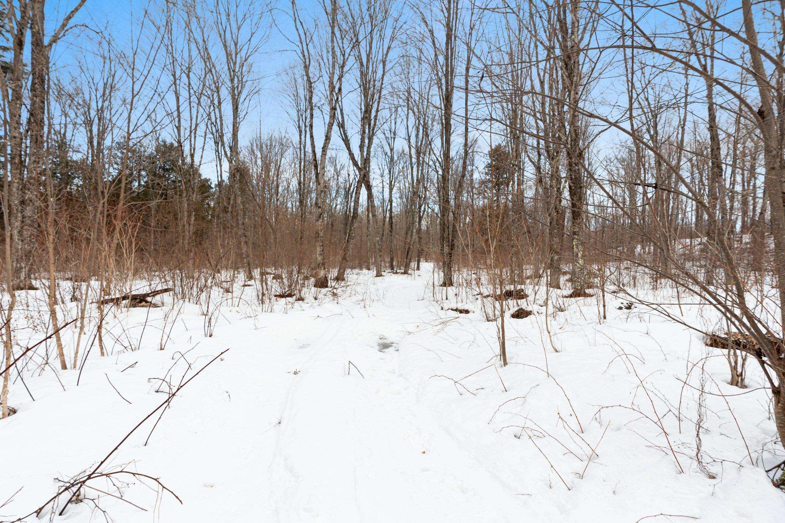 6506 Double Bend Road Argonne, WI 54511 - Photo 34 of 60