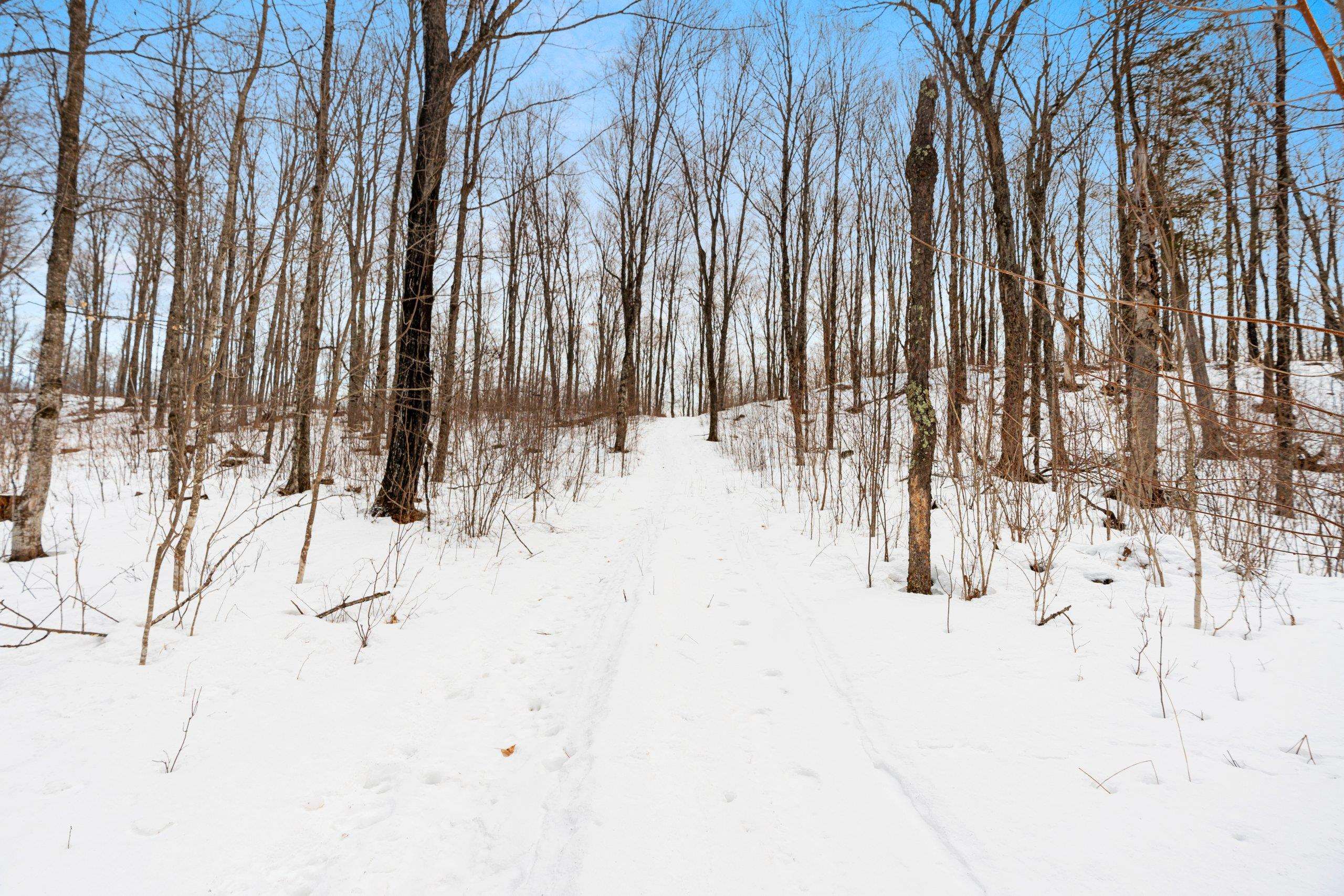 6506 Double Bend Road Argonne, WI 54511 - Photo 35 of 60